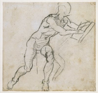 Study of a seated male nude by Michelangelo Buonarroti